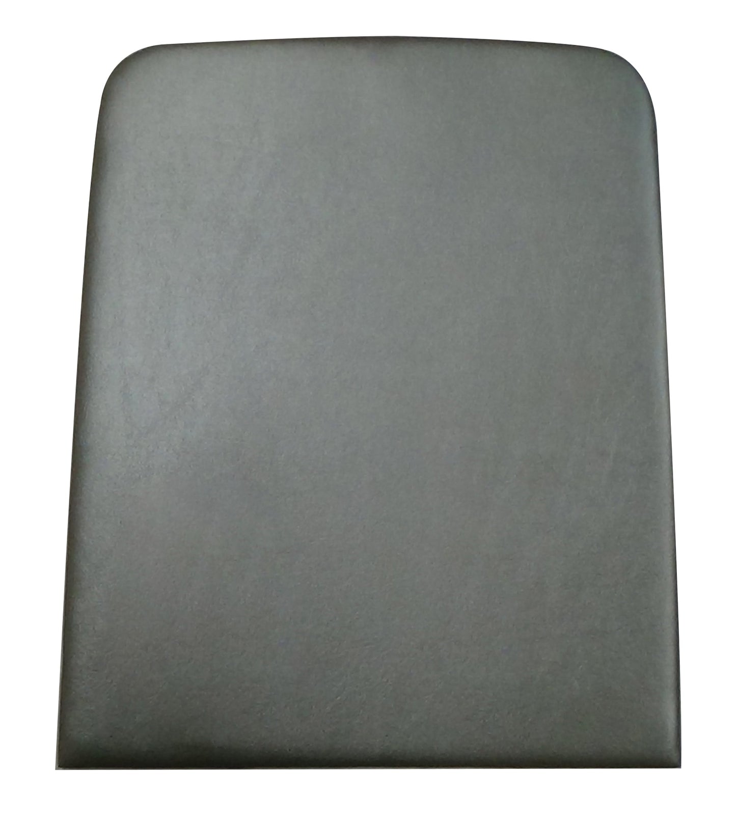 1965 Comet Caliente-Cyclone Backpanels